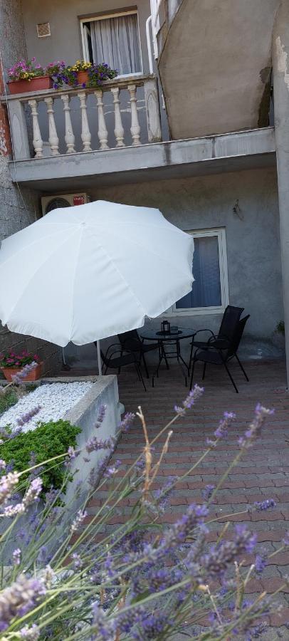 Apartman Marin - Zadar Eksteriør billede