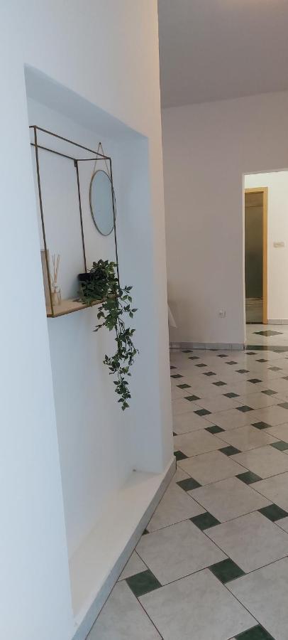 Apartman Marin - Zadar Eksteriør billede